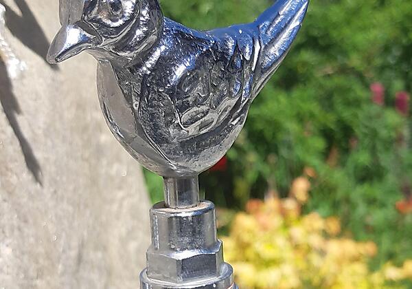 unser Hausvögelchen