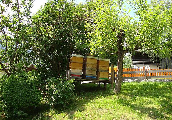 Gruberbauer, Bad Gastein, Sommer Garten