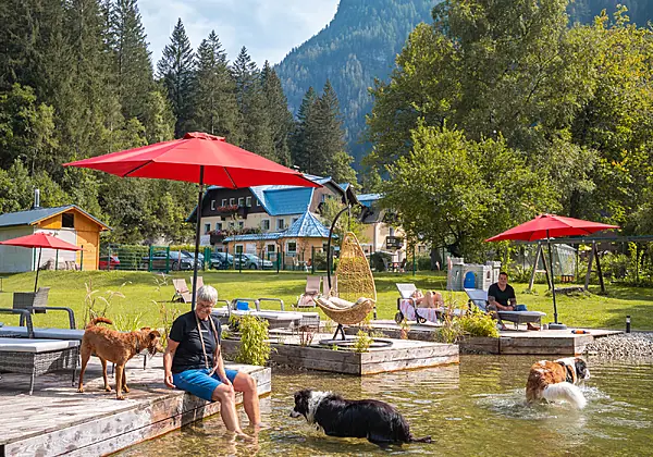 Der wohl schönste Hundebadeteich der Alpen
