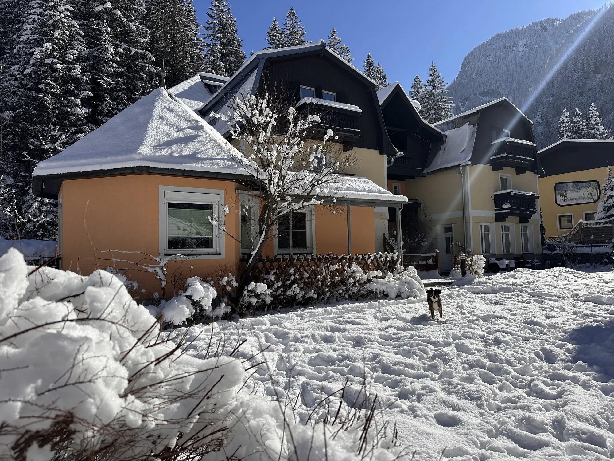 Grubers im Schnee