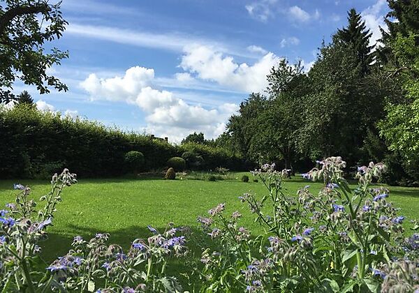 Grüner Baum Flair Hotel