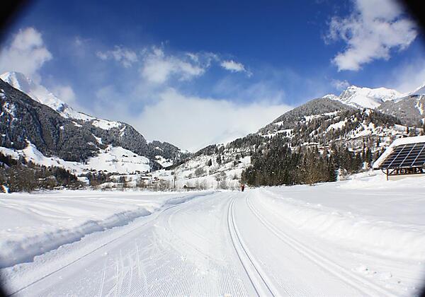 Winterbilder 2014 Februar 1 030