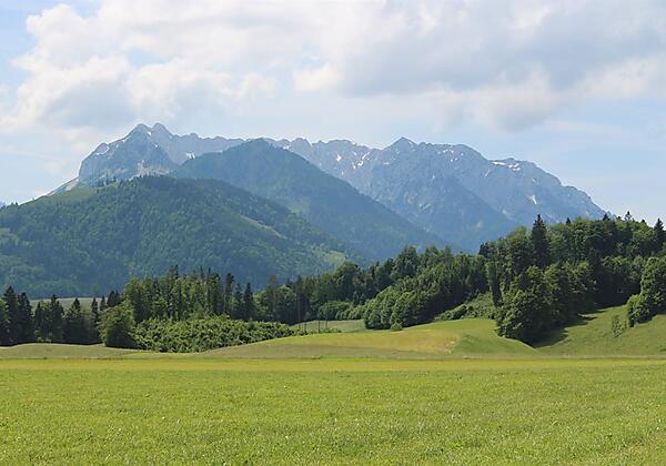 Ausblick zum zahmen  Kaiser