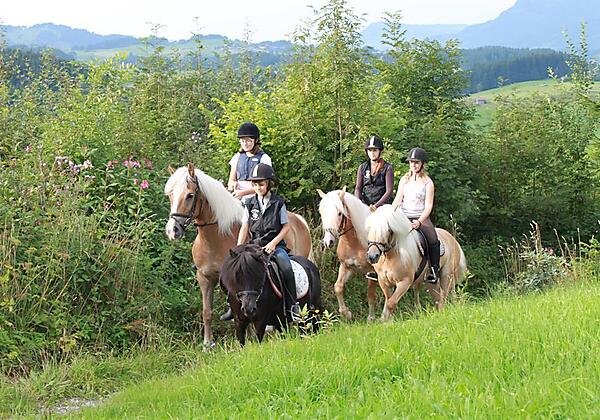 Reiterferien im Allgäu