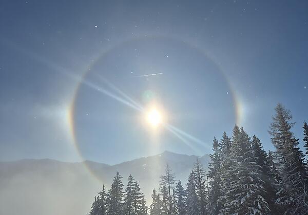 thumbnail_PHOTO-2025-02-19-09-40-55