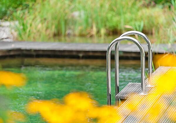 einstieg-schwimmteich-gross