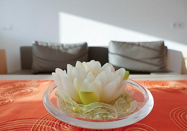 Haus am Sonnenhang-Hart-Zillertal-Chouchzone