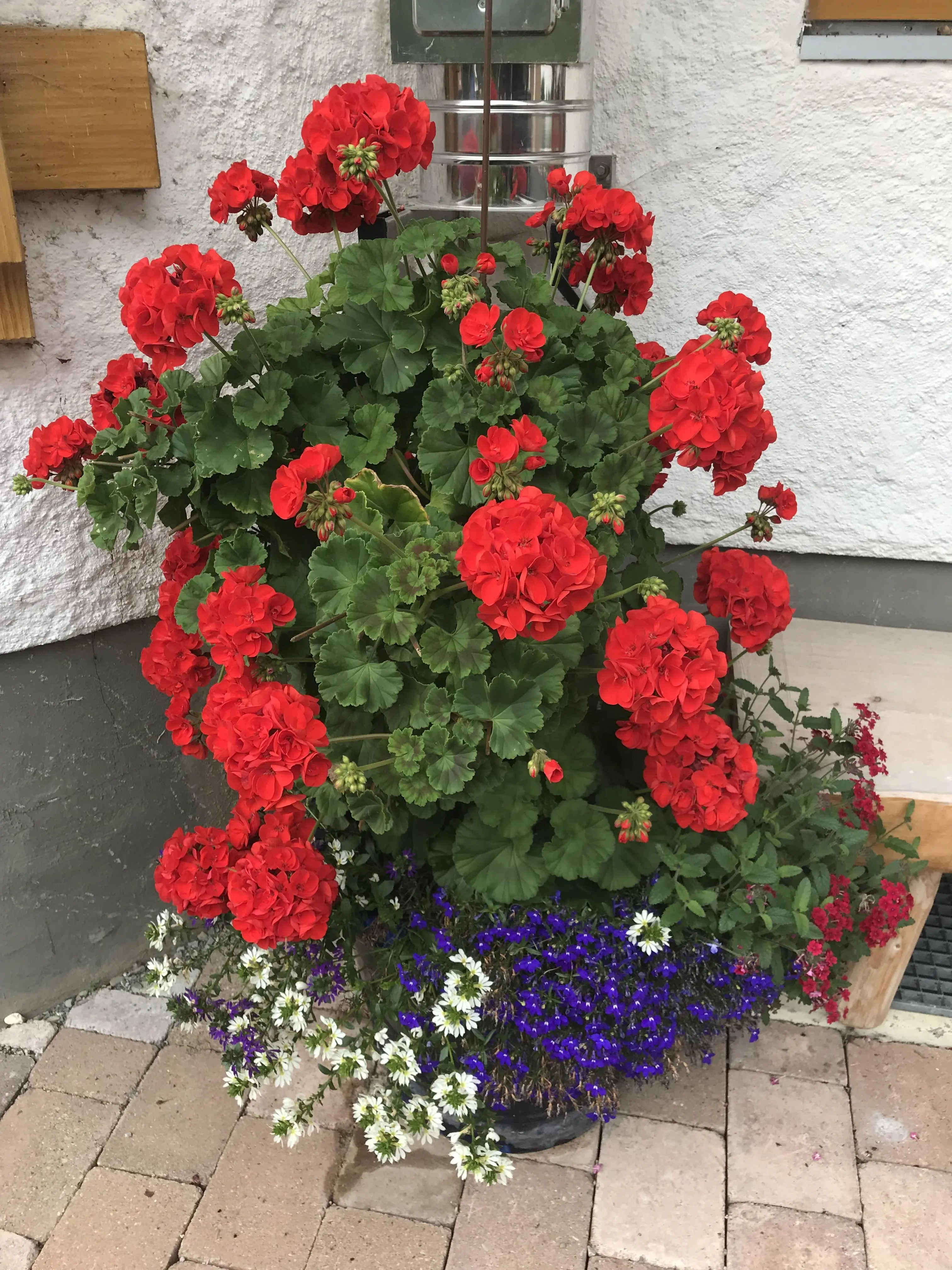BLUMENSCHMUCK