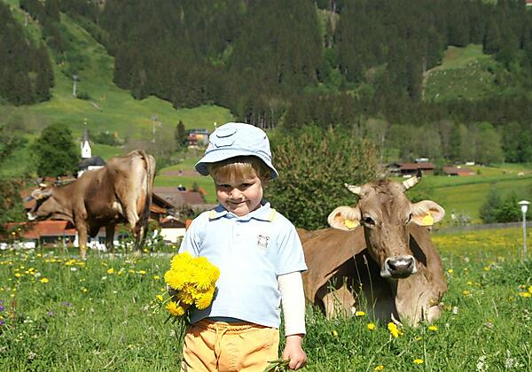 Geborgenheit + Zufriedenheit  = Familienenergie