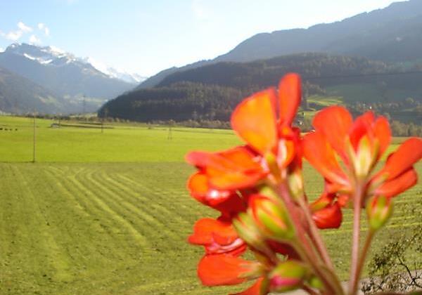 Aussicht Sommer