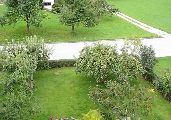 Blick auf den Garten