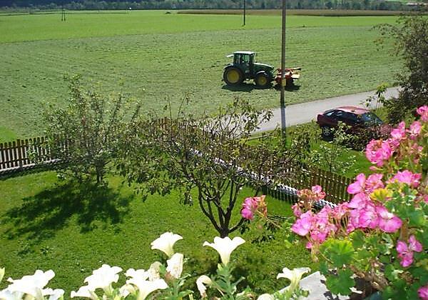 Blick auf den Garten 2