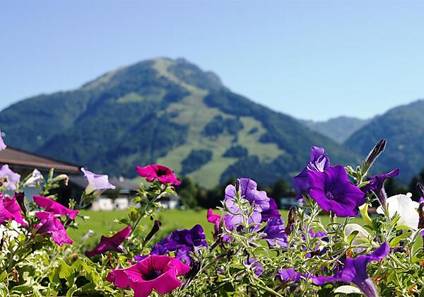 Blick auf die Berge