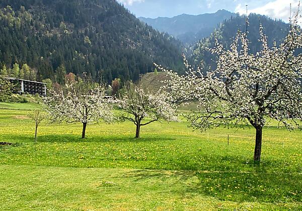 Haus_ClaudiaLipp_Garten