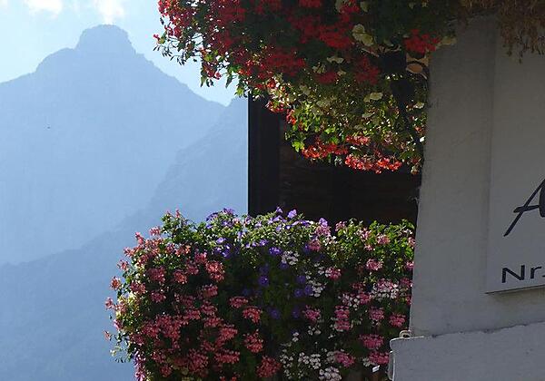 csm_777-2014616164639183_BlumenxSerles_39833ed9e1