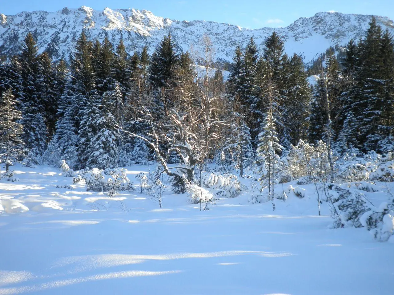 Hallo Winter
