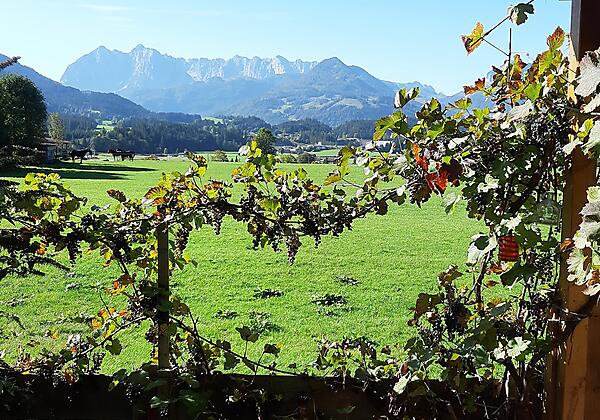 Haus Florian_Kaiserwinkl_Kössen (4)