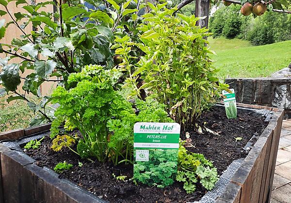 Kräutergarten
