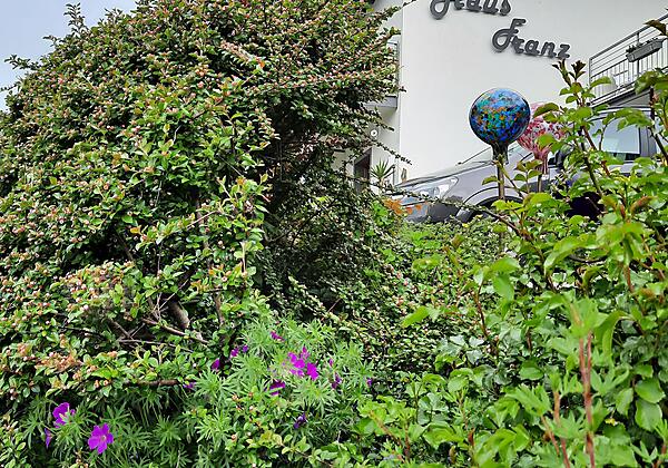 Haus Franz