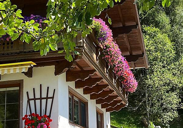 6a3e736d-facb-4d5e-b2bb-5dcfee0907a8