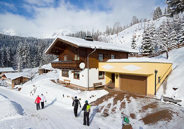 Hallinger Andreas Winter