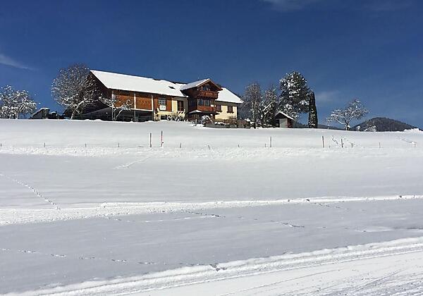Bramsauloipe direkt vor dem Hof