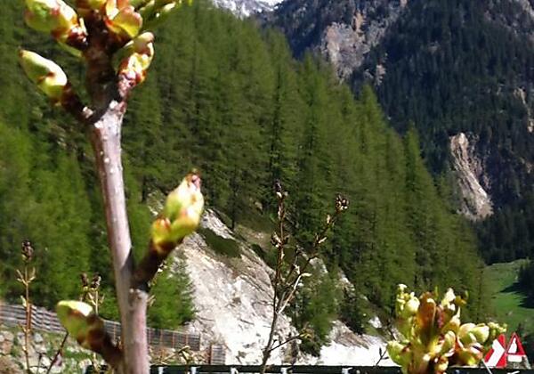 Aussicht hinter dem Haus