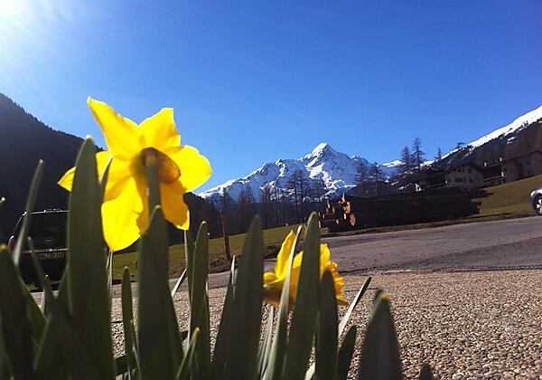 Aussicht vom Haus Nederkogel