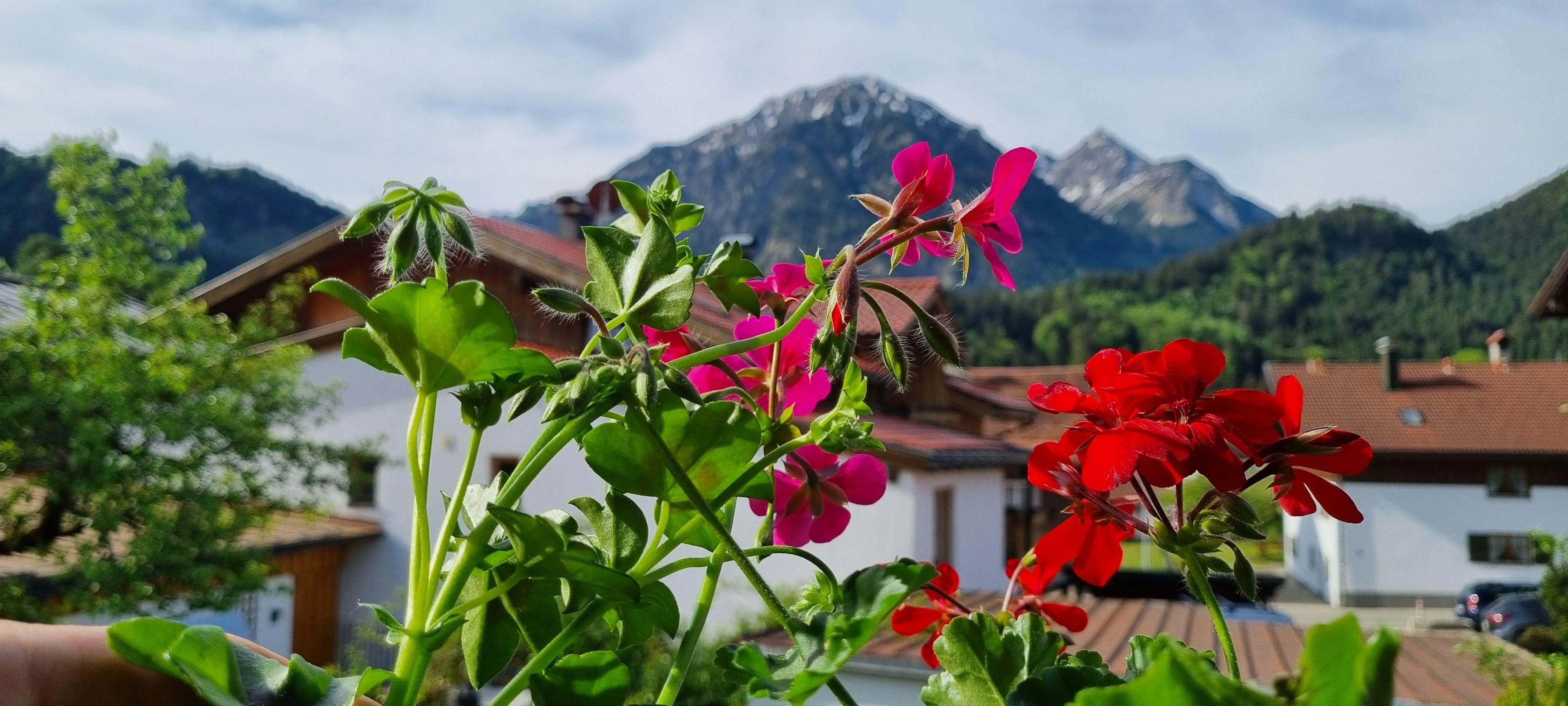 Blick vom Balkon