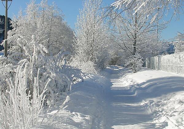 Winterspaziergang