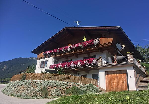 Bilder vom Handy November 2019 089