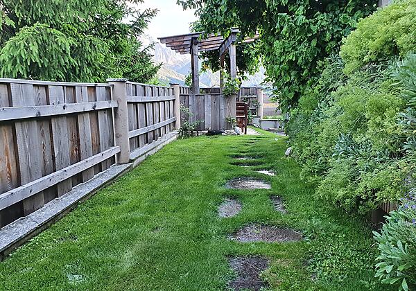 Weinlaub Sicht Garten