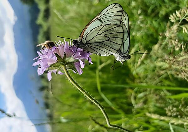 Impressionen Haus Kohler