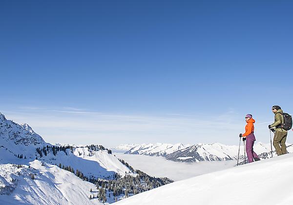 Alpe_Oberpartnom_in_Sonntag-Stein_(c)_Wiebke_Meyer
