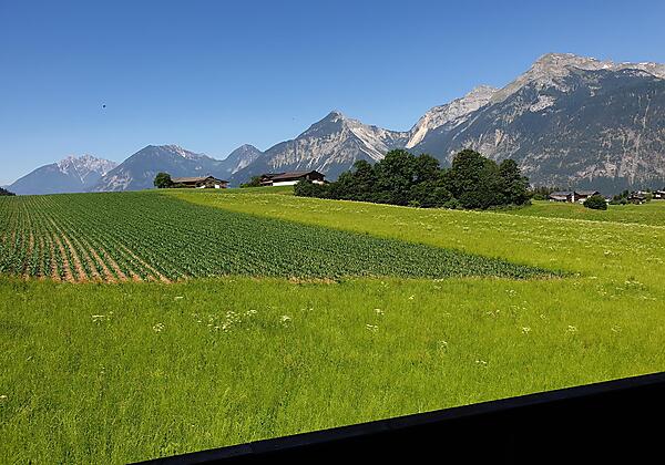 Ausblick vom Balkon süd/west
