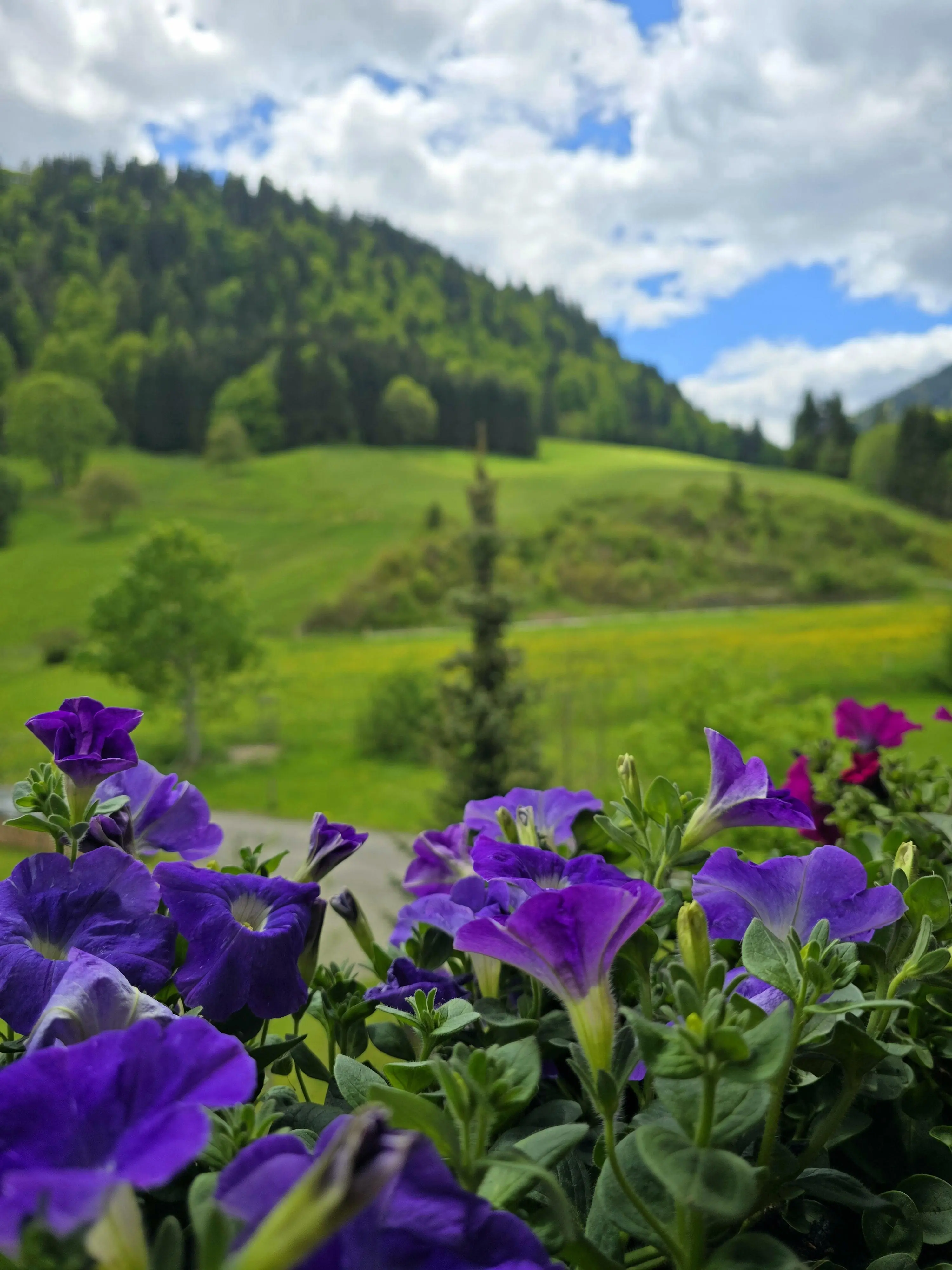 Ausblick
