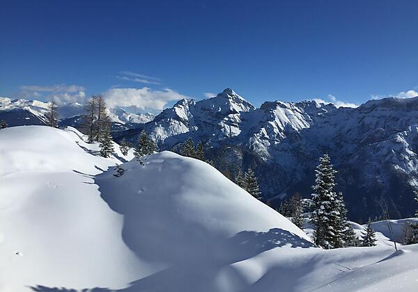 Serles Winter