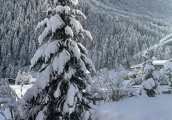 GARTENANSICHT DEZEMBER 2020