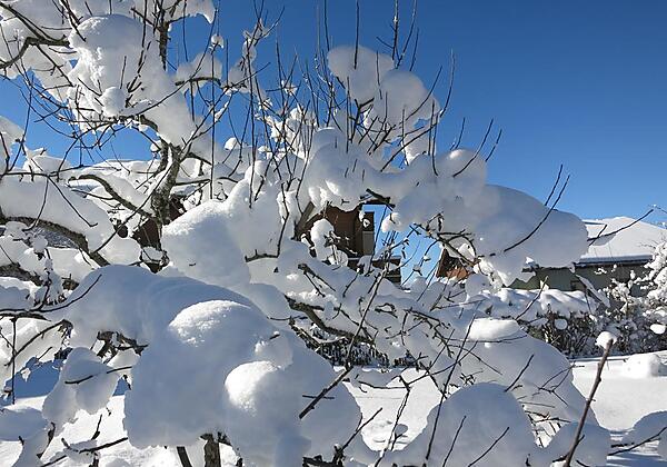 Winter in Wagrain