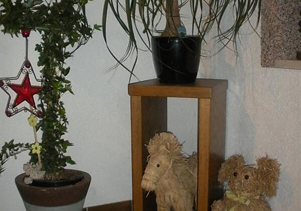 Treppe/HasuMargit/Kössen/Kaiserwinkl