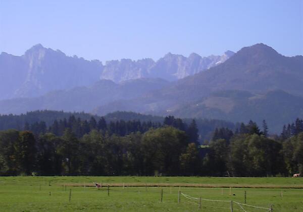 Blick zum WildenKaiser/HausMargit/Kössen/Kaiserwin