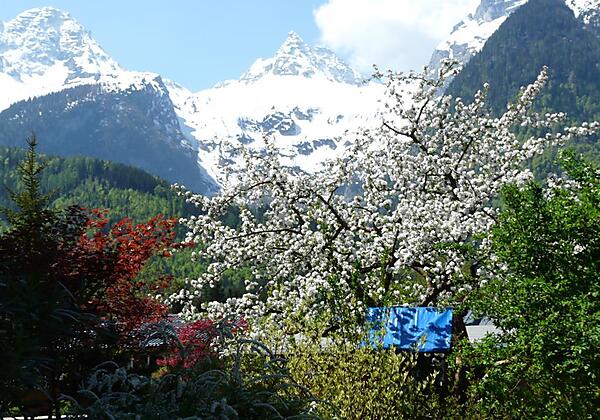 Blick vom Balkon Frühjahr