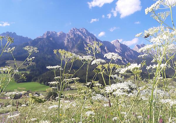 Leoganger Steinberge