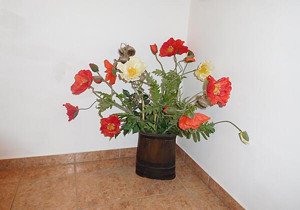 panoramablick-blumen