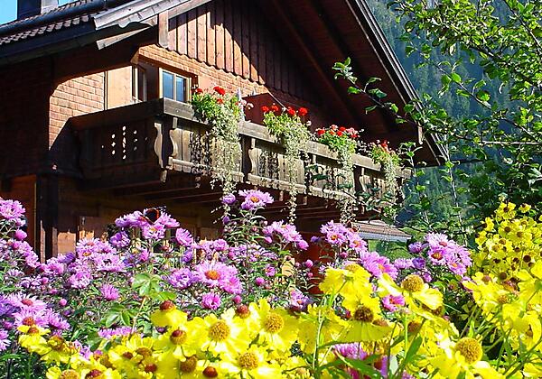 Südansicht mit Blumen
