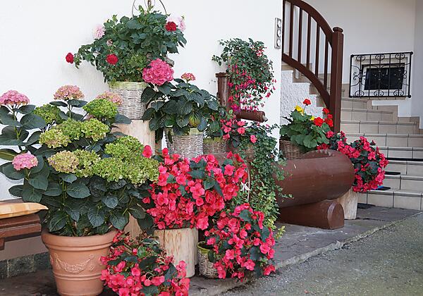 Haus Rappold Garten 1