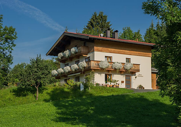 schachner1