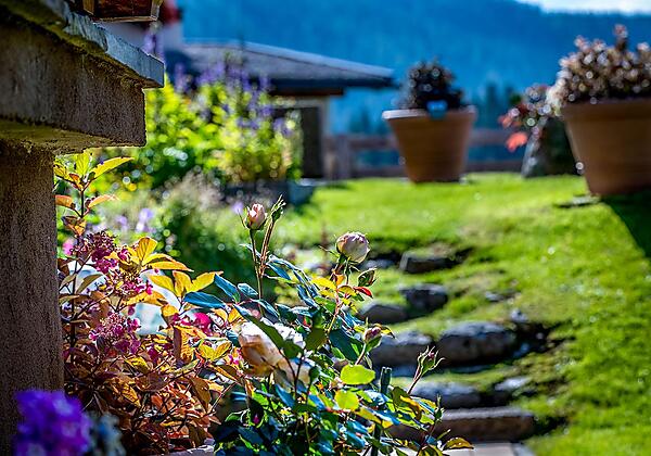 Garten