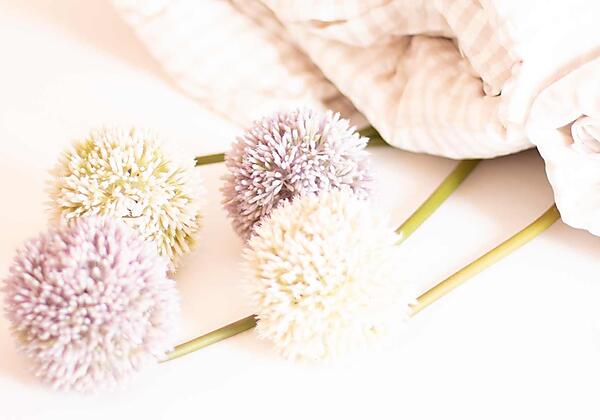 Herzliche Willkommen