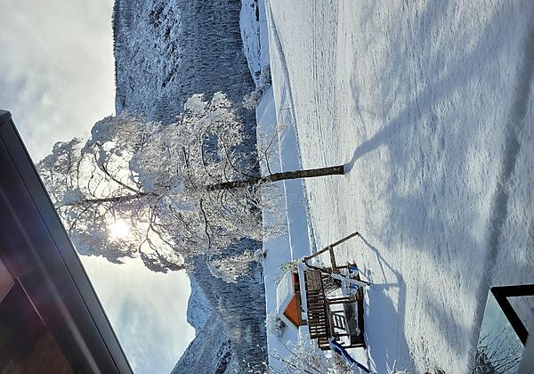 Haus Sprenger - Grießau Lechtal Winter Birke
